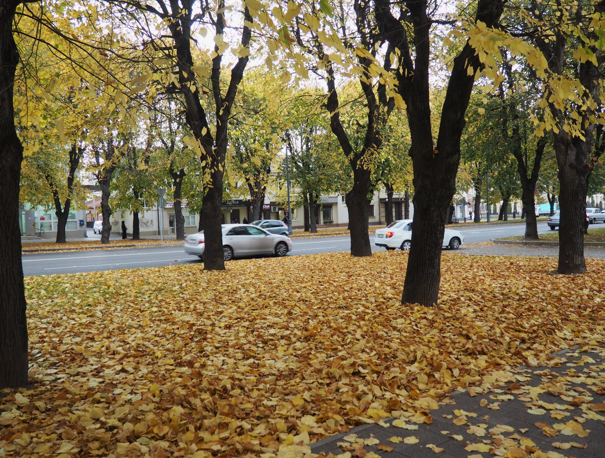 Нальчик, проспект Ленина