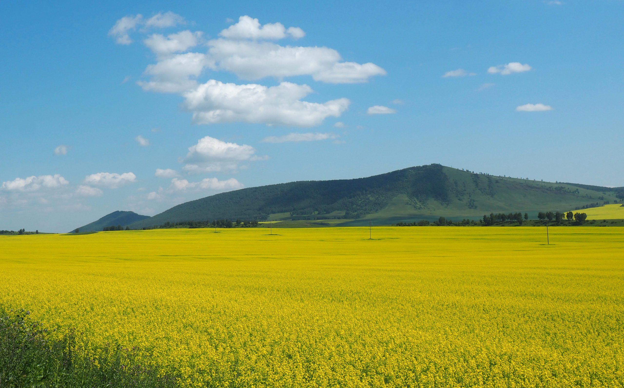 Россия, Красноярский край