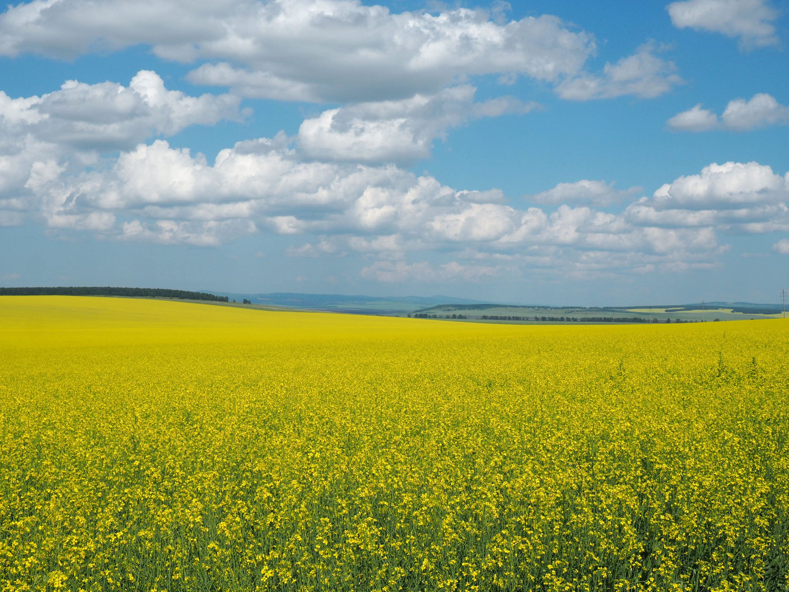 Россия, Красноярский край