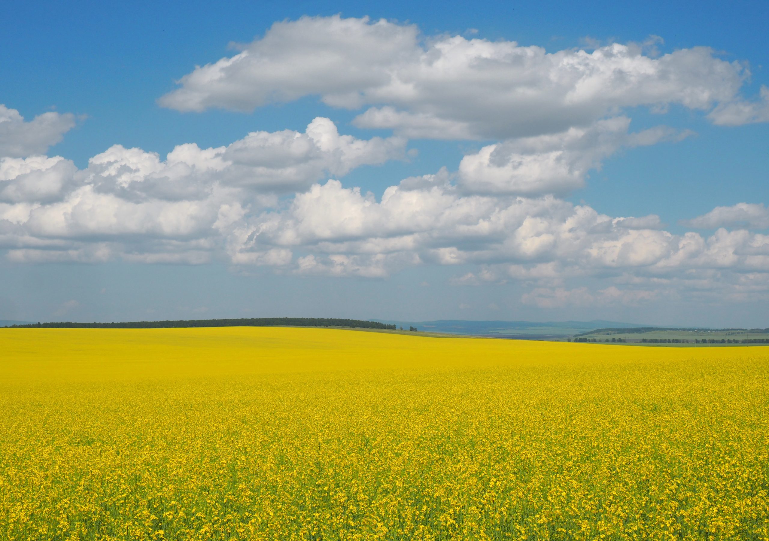 Россия, Красноярский край