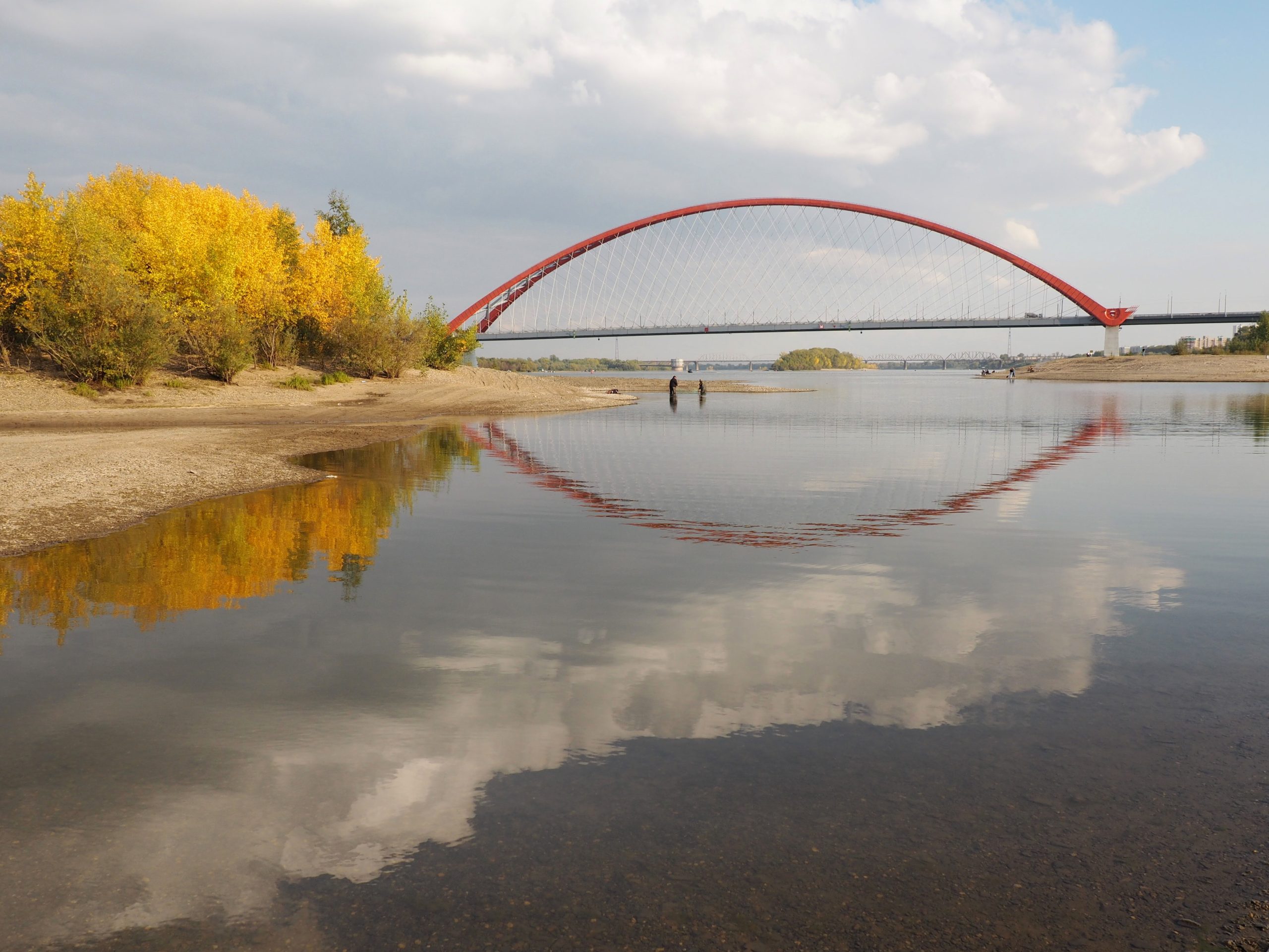 Бугринский мост (Новосибирск)