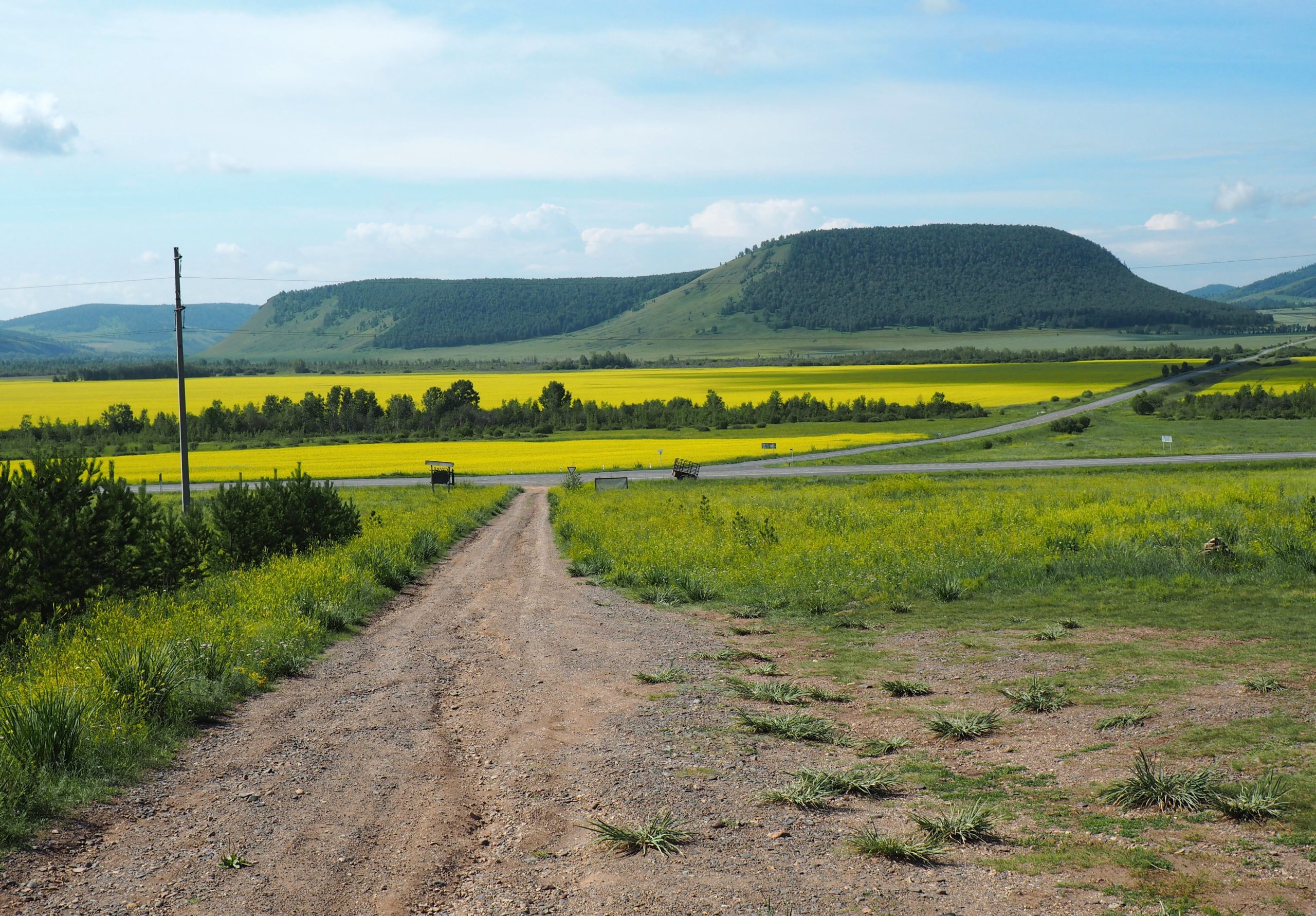 Возле Сулекской писаницы (Хакасия)