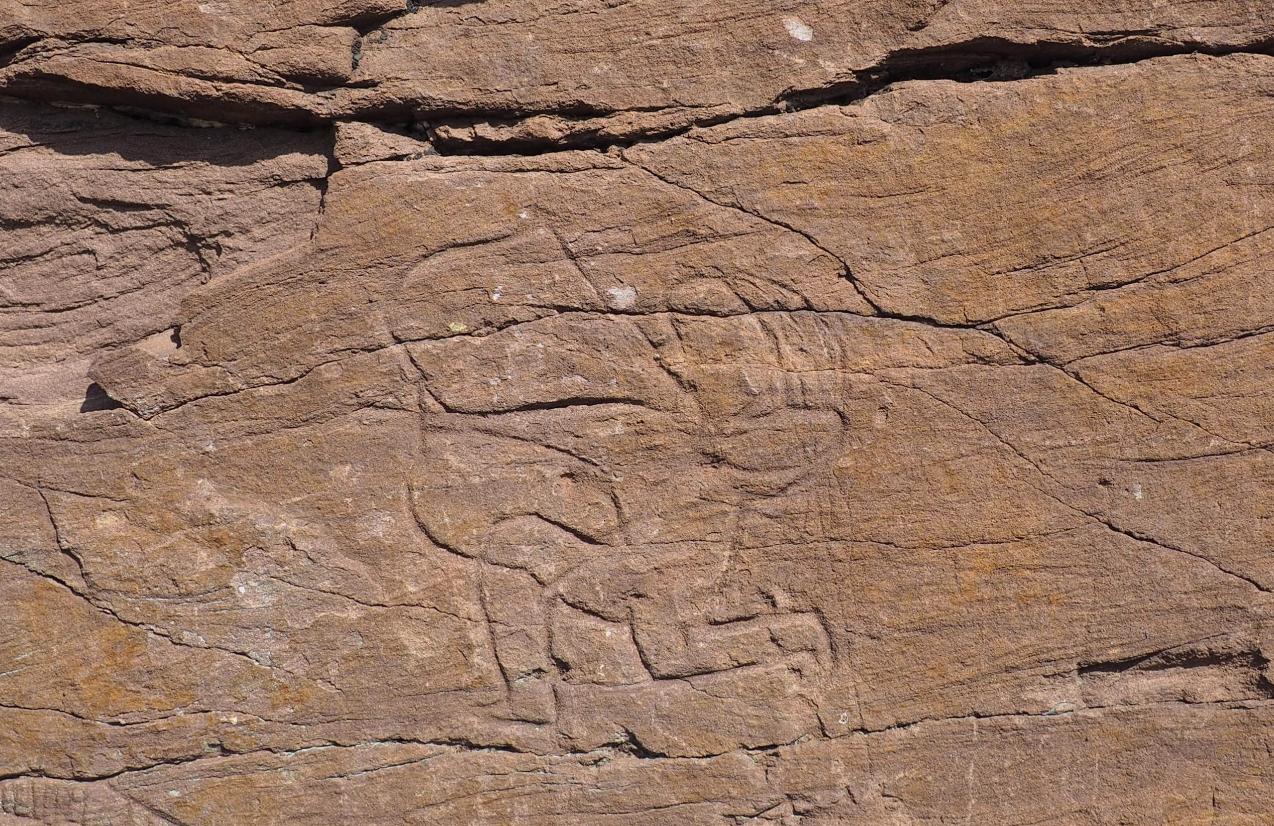 Сулекская писаница (Хакасия)